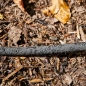Preview: SIENA GARDEN Perlschlauch 7,5m 13 mm (1/2") Perlregner mit Anschlussset schwarz 