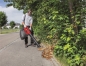 Preview: Scheppach Elektro Laubsauger Laubbläser 230V LBH3000E 4in1 3000W *2.Wahl* 