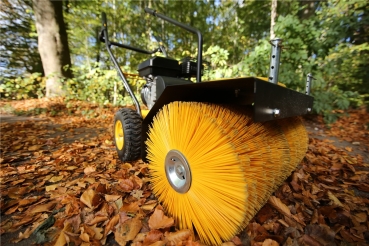 TEXAS Handy Sweep 690TG 3in1 Kehrmaschine Benzin Schneeschild 60cm *GEBRAUCHT* 