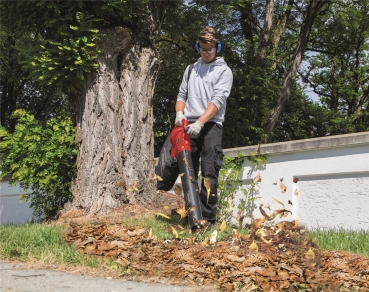 Scheppach Laubsauger Laubbläser elektrisch 230V BLV3000E 4in1 3000W *2.Wahl* 