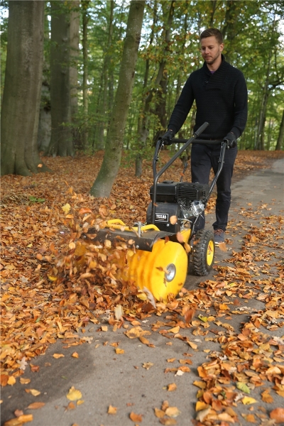 TEXAS Handy Sweep 690TG 3in1 Kehrmaschine Benzin Schneeschild 60cm *GEBRAUCHT* 